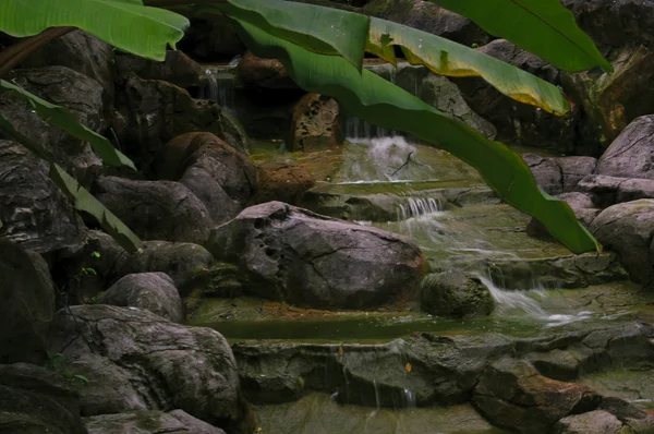 stock image Pond