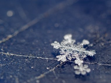 Snowflake on scratсhed surface