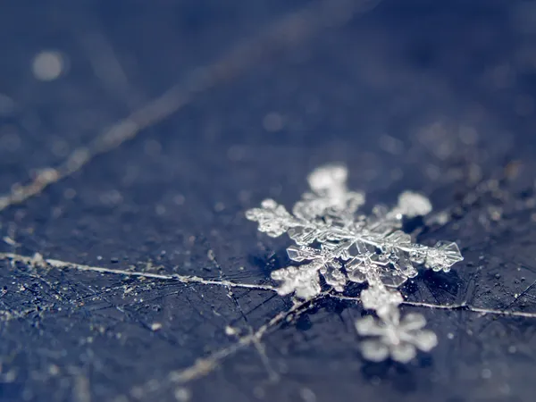 Snowflake on scratсhed surface — Stock Photo, Image
