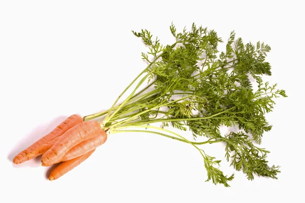 Zanahorias biológicas —  Fotos de Stock