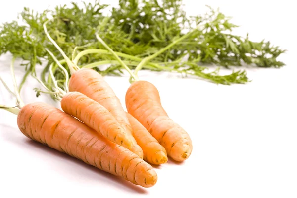 Zanahorias biológicas — Foto de Stock