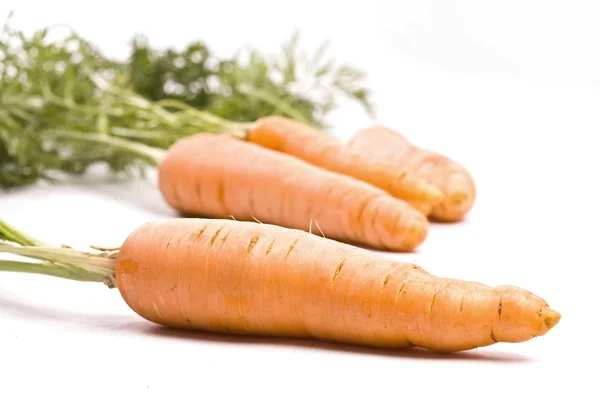 Βιολογικά καρότα — Φωτογραφία Αρχείου