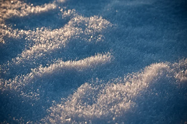 Cristalli di neve — Foto Stock