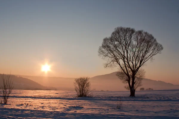 Zachód słońca zimowego — Zdjęcie stockowe