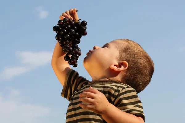 Хлопчик з виноградом — стокове фото