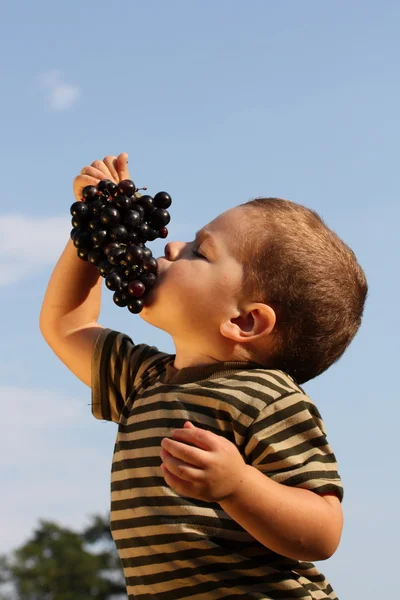 Baby boy with an grape — Stock Photo, Image