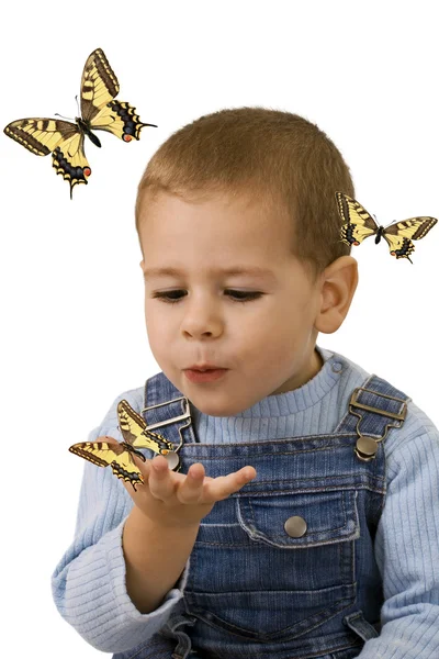 Мальчик смотрит на бабочку — стоковое фото