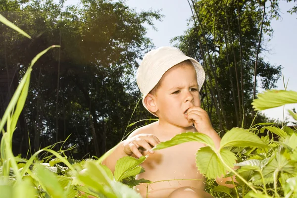 Pojke i naturen — Stockfoto