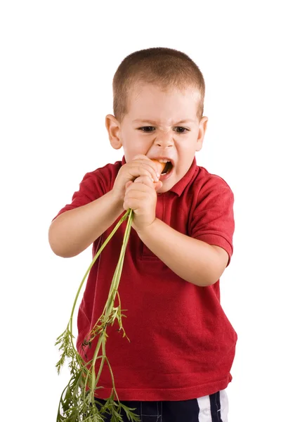 Dzieci i marchewki — Zdjęcie stockowe