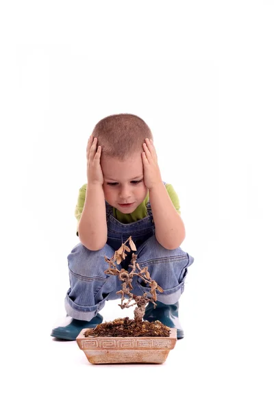 Çocuk ve bitki — Stok fotoğraf