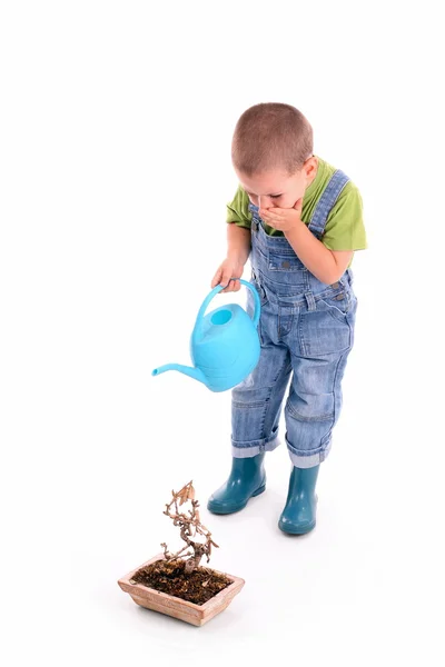 Мальчик и растение — стоковое фото