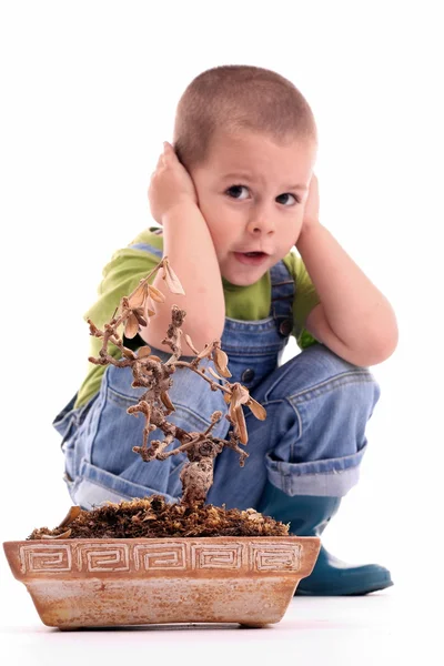 Chlapec a rostlin — Stock fotografie
