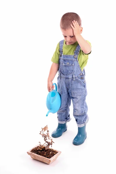 少年と植物 — ストック写真
