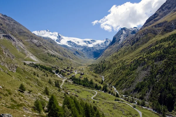 Mooie taesch vallei in de Zwitserse Alpen — Stockfoto