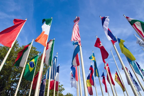 Международные флаги — стоковое фото