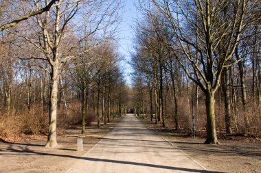 Kışın tiergarten