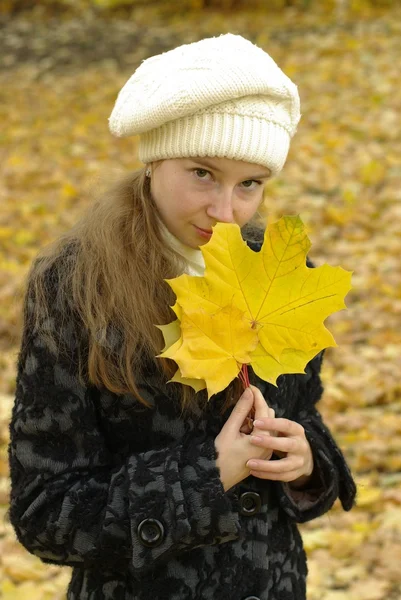 Menina com folhas de bordo — Fotografia de Stock