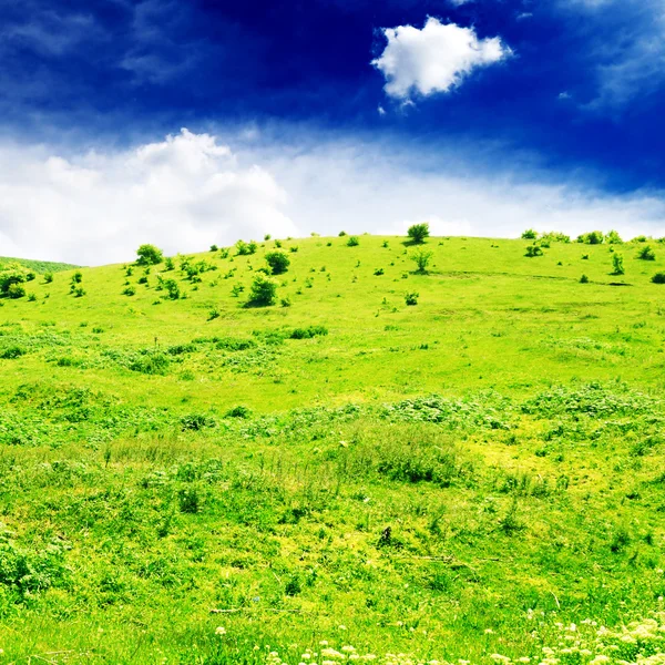 stock image Field and sky