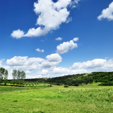 çayır