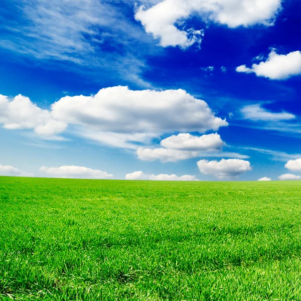 Campo e céu azul — Fotografia de Stock