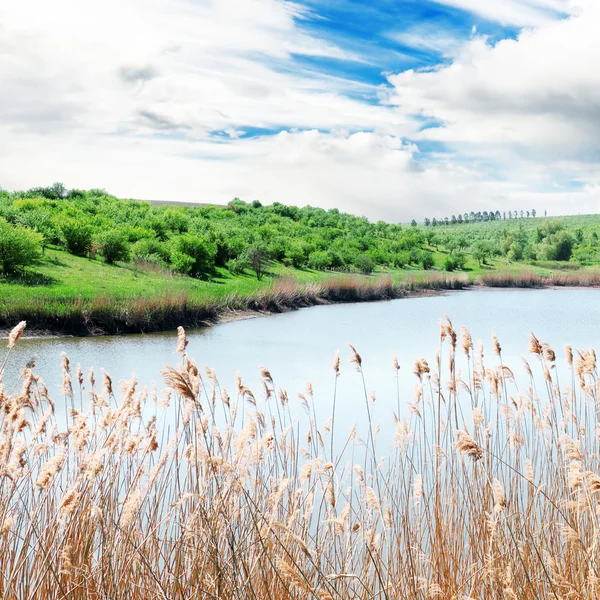 Озеро и зеленое поле — стоковое фото
