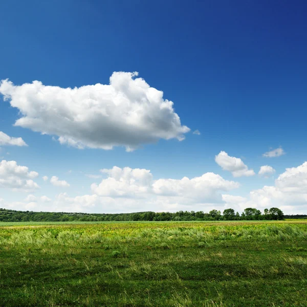 Feld und Himmel — Stockfoto
