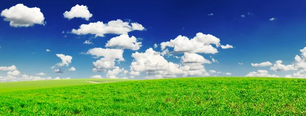 Mező és az ég — Stock Fotó