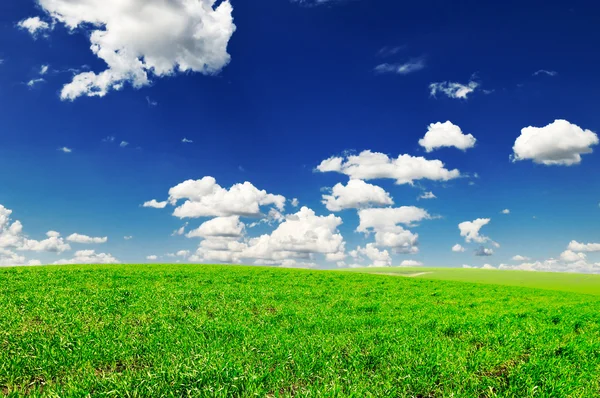 Mező és az ég — Stock Fotó