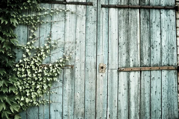 Старые поблекшие двери амбара — стоковое фото