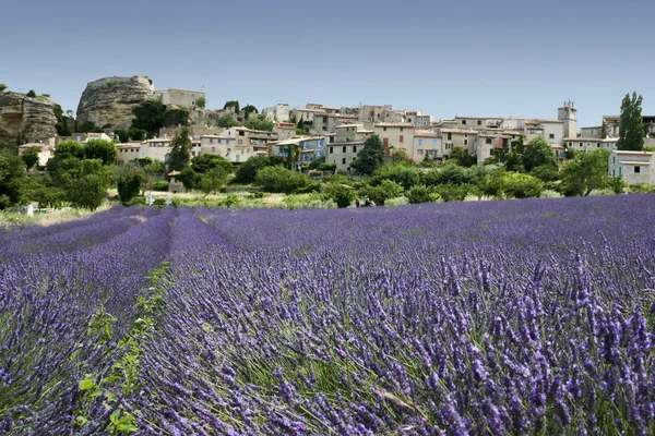 Lavendel velden hilltown provence Frankrijk — Stockfoto