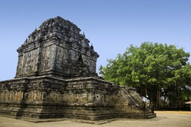 Borobudur Tapınağı java Endonezya