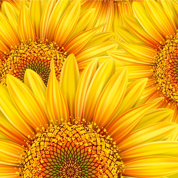 Background with sunflowers. Mesh. — Stock Vector © len_pri 5904723