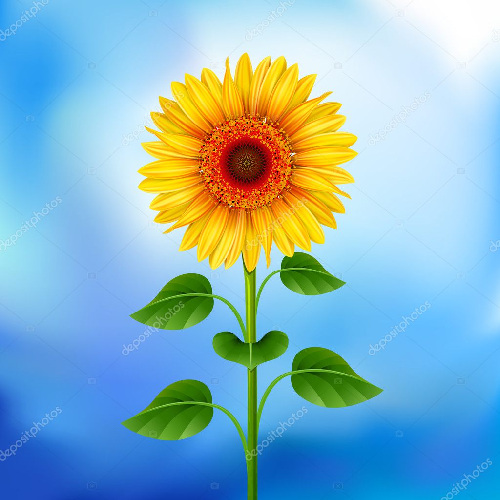 Background with sunflower — Stock Vector © len_pri 5048827