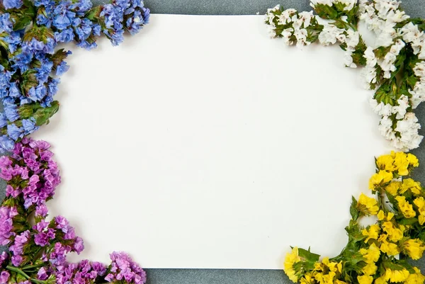 Beyaz kağıt boş — Stok fotoğraf