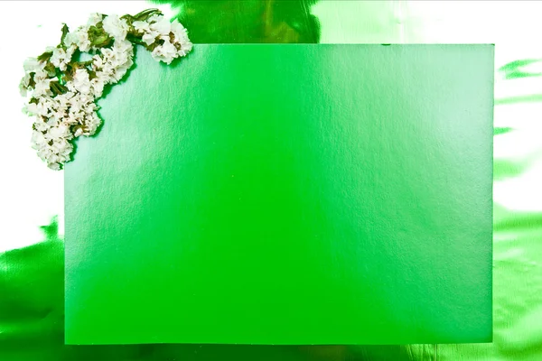 Tarjeta de felicitación verde — Foto de Stock