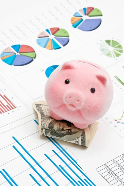 Piggy bank en grafieken — Stockfoto