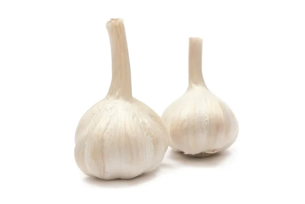 Dwa garlics — Zdjęcie stockowe