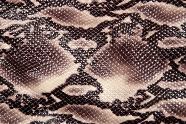 Snakeskin clipart