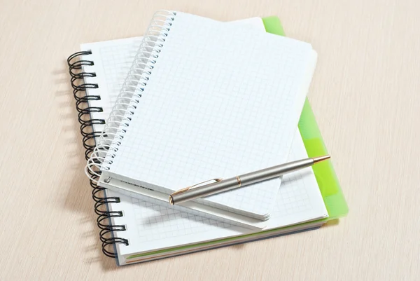 Note pad e penna argento — Foto Stock