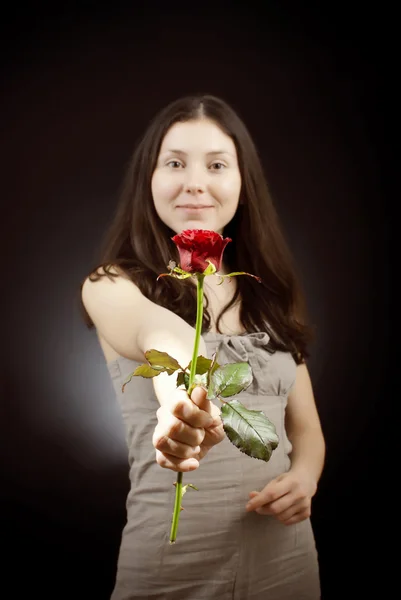 Красива Дівчина Сарафан Дає Червону Троянду — стокове фото