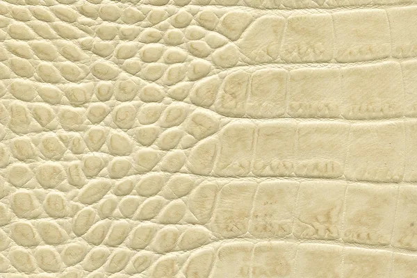 Texture in pelle di coccodrillo beige — Foto Stock