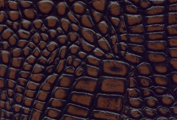 Textura de couro de crocodilo marrom e preto — Fotografia de Stock