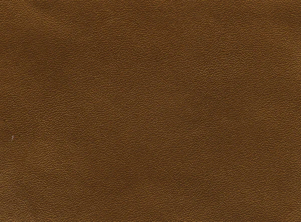 Gold leather texture — Stock Photo, Image