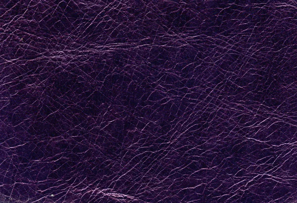 Purple leather texture — Stock Photo, Image