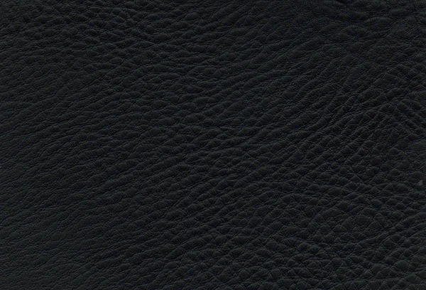 Texture cuir noir — Photo
