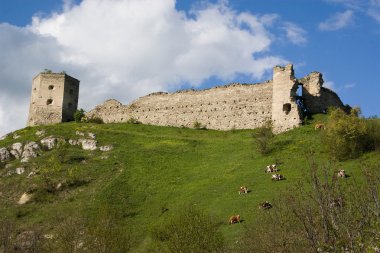 Old castle of Kudrinci village. clipart