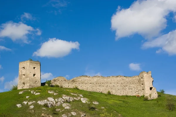 Kudrinci 村的老城堡. — 图库照片