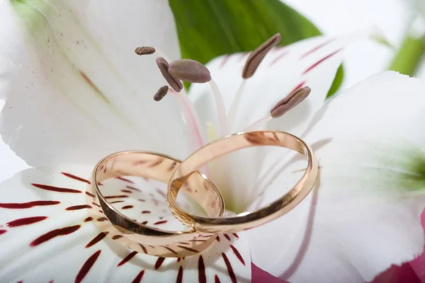 花の結婚指輪. — ストック写真