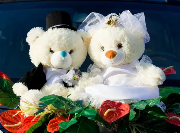 Esküvői medvék. — Stock Fotó