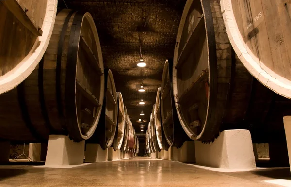 Big wine barrels. — Stock Photo, Image
